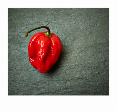 The Carolina Reaper chili pepper 