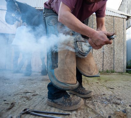 Farrier "Hot shoeing" 