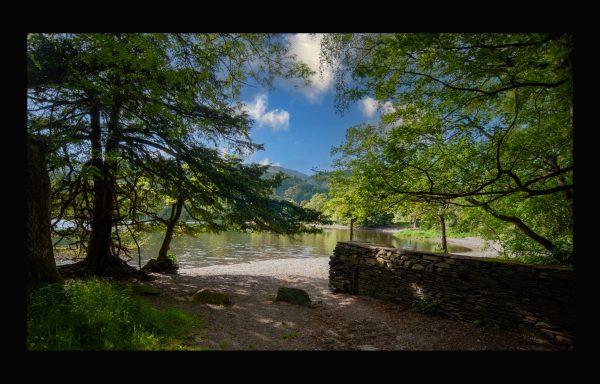 Dappled trees on the shores of Coniston water Dappled trees on the shores of Coniston water
