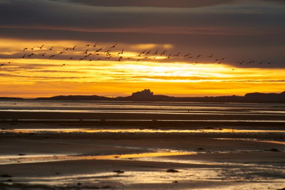 Dunstanburgh Castle, Northumberland. Dunstanburgh Castle, Northumberland.