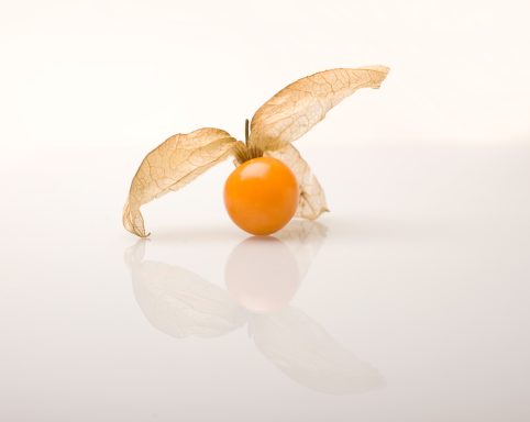 Cape gooseberry (Physalis peruviana)