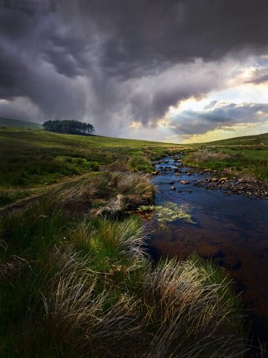 A serene landscape featuring a winding stream, grassy banks, and dramatic stormy skies.